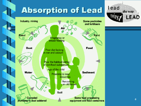 Absorption of Lead, slide 6