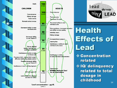 Health Effects of Lead, slide 14