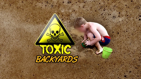 Toxic Backyards