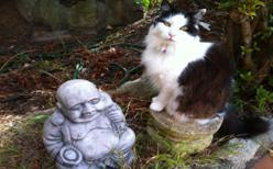 Molly 1998 to 2013 and the Buddha